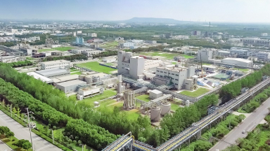 Wacker to invest $100 mn on expanding VAE production capacity