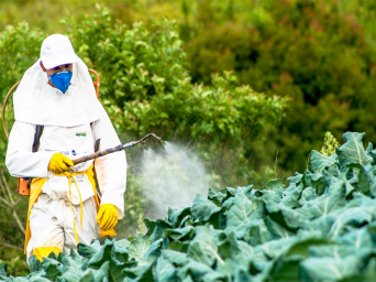 CCFI urges Environment Ministry to review NGT’s order on use of pesticides