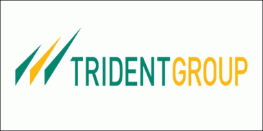Trident to manufacture towels without chemical based fibers