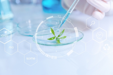 DIC, Debut Biotechnology partner to develop natural pigments