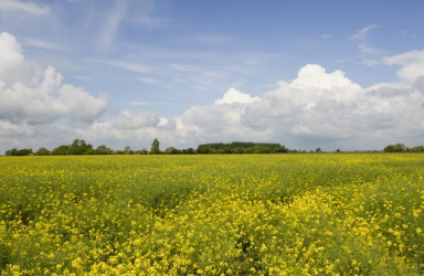 Croda to sell its industrial chemicals businesses to Cargill for €915 million