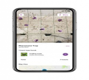 BASF Digital Farming introduces new feature for pheromone trap analysis