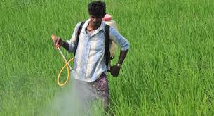 FICCI calls for reduction of GST on agro-chemicals to 5%