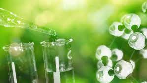 Topsoe and First Ammonia launch zero emission ammonia production