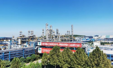 Clariant's NiSat 310 catalyst adds polishing touch to Evonik-tkIS HPPO process at PO plant in China