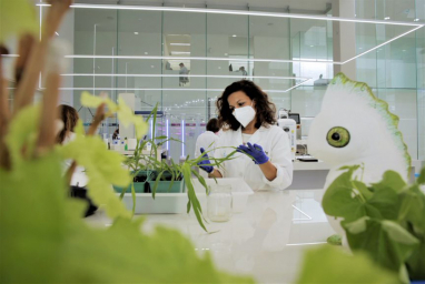 Bayer partners with Kimitec on natural biological solutions for crop protection