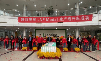 Lenzing completes conversion of production line from generic viscose to modal fibers in China