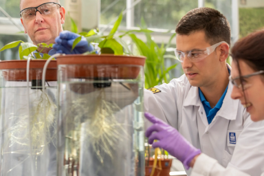 Yara to build new global plant for specialty fertilizers and biostimulants in UK