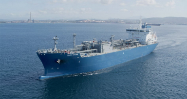 Cepsa, Yara agree on clean ammonia supply deal in Europe