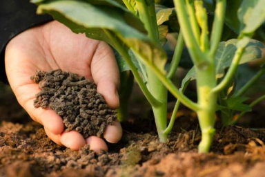 R&D in organic fertilizers
