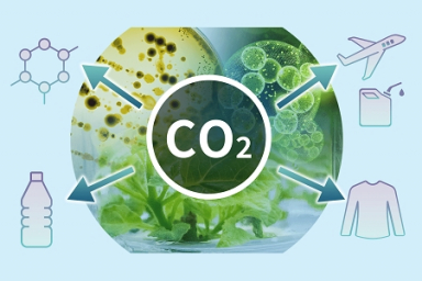 Sojitz, Central Research Institute of Electric Power Industry, Green Earth Institute, DIC, Toray and Daicel join hands to develop biomanufacturing technologies using CO2 and H2 as feedstocks for hydrogen-oxidizing bacteria
