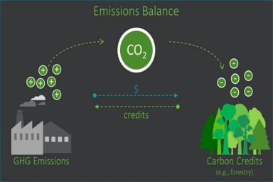 Unveiling India’s carbon credit revolution; Stepping ahead of the world: CareEdge