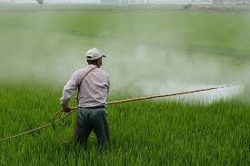 European Commission allows use of herbicides glyphosate for the next 10 years