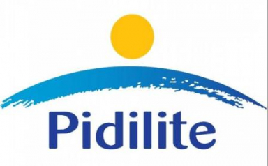 Pidilite Industries posts Q3 FY24 consolidated PAT at Rs. 510.48 Cr