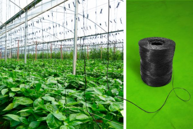 BASF introduces industrial compostable biopolymer for greenhouse twines