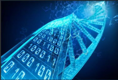 Syngenta and AI company InstaDeep collaborate to accelerate crops seeds trait research