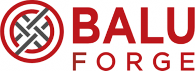 Balu Forge Industries Q1 FY25 PAT rises 104.96% to Rs. 34.17 Cr