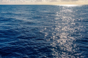 Petrobras begins binding phase of Tartaruga Field in Sergipe-Alagoas Basin