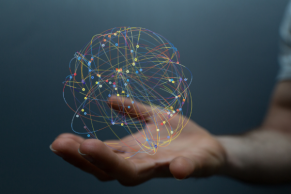 Covestro finishes digitalization of product-specific life cycle assessments