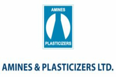 Amines & Plasticizers Q3 FY25 PAT drops 1.2% to Rs.9.76 Cr