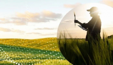 Syngenta and Ceres Biotics ink agreement to bring biological solution to farmers globally