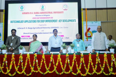 Experts call for faster adoption of biotech to tackle agricultural challenges