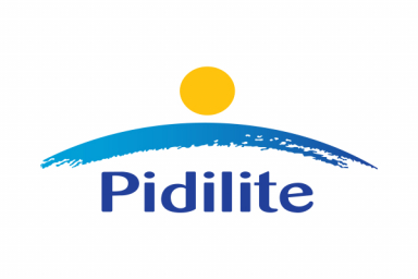 Pidilite Industries appoints D B Sreenivasan as Chief Business Officer (IP)