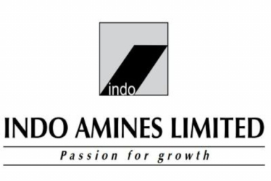 Briefs: Indo Amines and Adani Data Networks