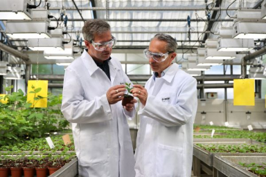 BASF starts registration for new fungicide innovation Adapzo Active to control Asian soybean rust