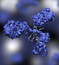 Veranova to invest $50 million to enhance biomanufacturing plant in Massachusetts