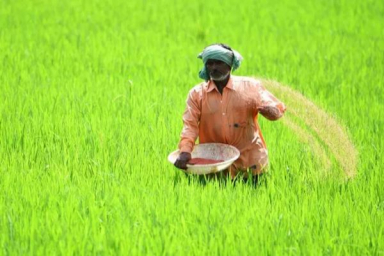Green Shoots: Fertiliser industry gears up for the next growth phase in India