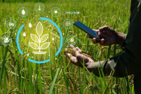 Government launches Digital Agriculture Mission to transform Indian farming