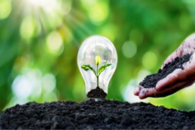 The Green Push: Clean energy ambitions fuel India’s rise in green hydrogen and biofuels