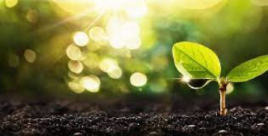 India cancels provisional registration of 8,000+ biostimulants