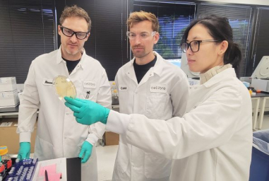 Symrise invests in US-based biotech firm Cellibre to accelerate innovation in fermentation-derived ingredients