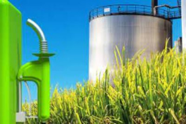 Coastal Biotech receives ethanol supply order worth Rs. 361.73 Cr