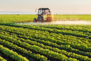 BASF and Nissan Chemical partner to bring BASF’s insecticide ‘Prexio Active’ to rice growers in Japan