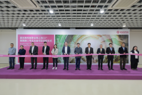 Evonik doubles production capacity for long-chain polyamides in China
