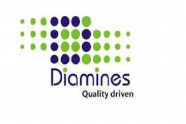 Diamines and Chemicals reports Q2 FY26 consolidated loss at Rs. 4.14 Cr