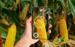 Syngenta launches new AI-powered Cropwise farming platform