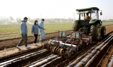 Sinopec’s biodegradable mulch film shows breakthrough in Xinjiang cotton fields