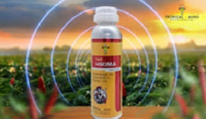 Tropical Agro unveils new-gen weapon Tag Hikima against caterpillars, borers