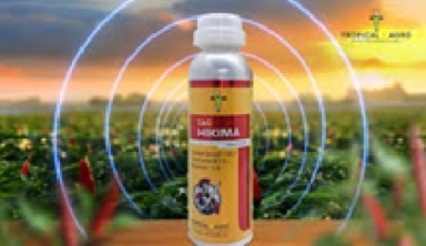 Tropical Agro unveils new-gen weapon 'Tag Hikima' against caterpillars, borers
