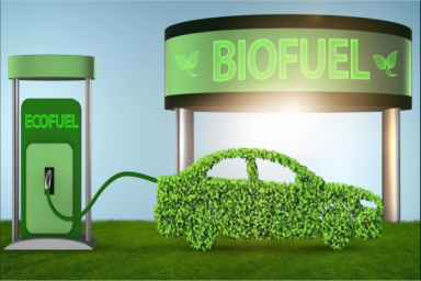National Biofuel Policy drives biodiesel production, farmer income
