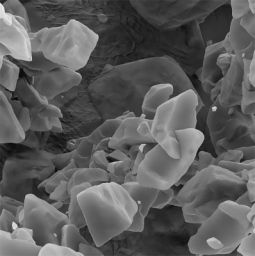 BASF’s nanosponges take centrestage as Nobel Prize Honors CO2-capturing chemistry