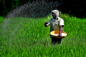 India’s fertiliser supply strong, stable and well-buffered: Govt