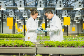 BASF unveils breakthrough fungicide Adapzo Active with new mode of action classification