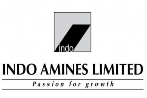 Briefs: Indo Amines and Chemplast Sanmar