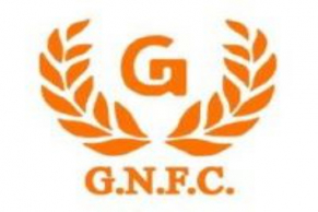 Briefs: A1 Acid, GNFC  and Websol