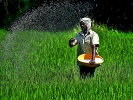 Europe’s No 2 fertilizer producer warns of ammonia cuts as gas and carbon costs surge